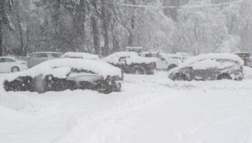 В Калифорнії лавина забрала життя восьми лыжників