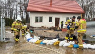 Пожежі в Польщі: більше 500 викликів за добу через відлигу