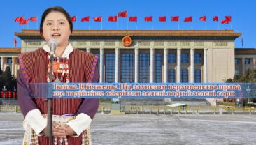 【Голос із Сіцзану на двох сесіях】Байма Юйчжень: Під захистом верховенства права ще надійніше оберігати зелені води й зелені гори