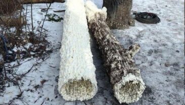 Росіяни маскують антенни в муляжах дерев