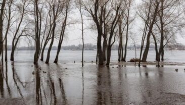 Водохранилища готові до весняних паводків в Україні