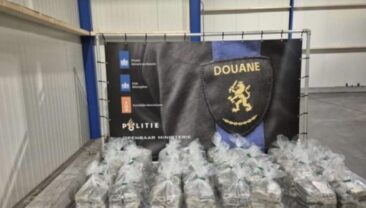 У Нідерландах зменшилась кількість вилученого кокаїну в порту Влиссінген