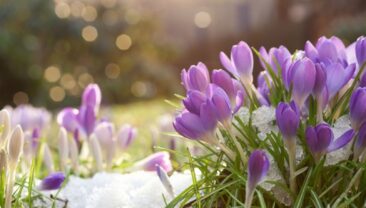 Прогноз погоди в Україні на 9 березня