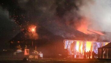 В Нідерландах унаслідок пожежі на фермі загинуло близько тисячі коз