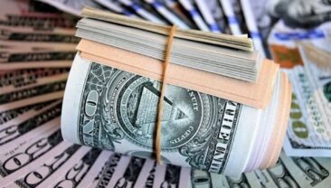 У Києві викрито фінансову піраміду, яка обманула громадян на 20 мільйонів гривень