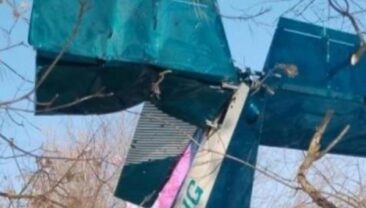У Коломні збито легкомоторний літак: двоє загиблих