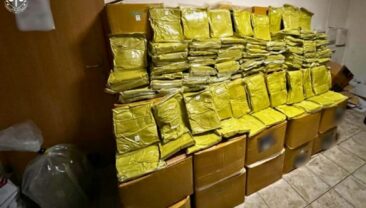 В Києві затримали організатора каналу збуту кратома з партією у понад тонну