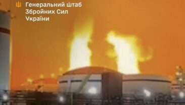 Атаки дронів на порти Усть-Луга та Приморськ: наслідки для російського експорту