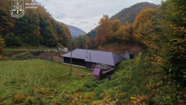 Лісничому на Закарпатті повідомили про підозру в самовільному захваті земель
