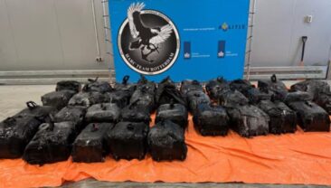 У Роттердамі виявили понад 1,4 тонни кокаїну, схованого за побутовими товарами