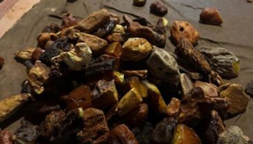 В Рівненській області ліквідовано незаконний бізнес з обробки янтарю