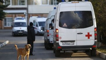 В Росії зафіксовано спалахи бешенства у 16 регіонах