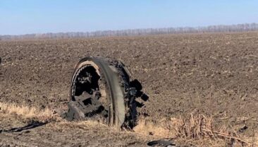 Скорочення підтримки агропромислового комплексу в Росії: наслідки для економіки