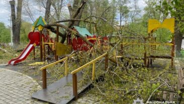 Дві дівчинки постраждали внаслідок падіння дерев у Новоселиці