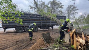 Ремонтні бригади облэнерго працюють над відновленням електропостачання
