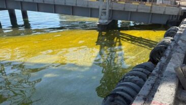 У Черноморську зафіксовано розлив соняшникової олії після атаки російських агресорів