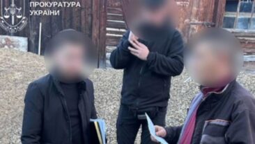 На Буковині викрито схему незаконного експорту деревини