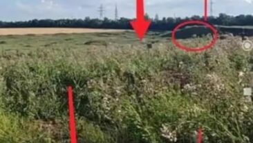 В Мариуполі виявлено масове поховання на Старокримському кладовищі
