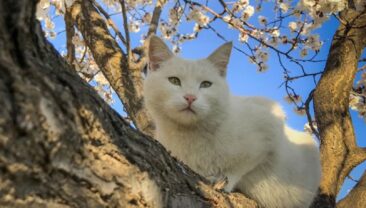Тепла погода в Україні: прогноз на неділю
