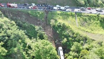 Крупна аварія автобусу в Мексиці: загинуло 11 людей