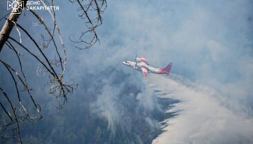 Ліквідація масштабного лісового пожежі в Закарпатті триває