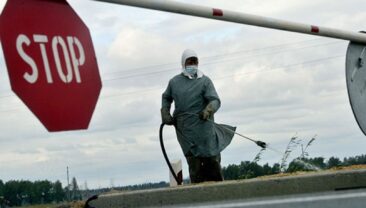 В Новосибірській області Росії виявлено ящур на фермерському господарстві