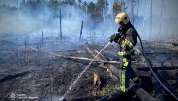 Ліси Чернігівщини у небезпеці: росіяни знищують спостережні вежі