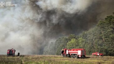 Ліквідація масштабного лісового пожежі в Київській області