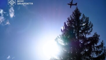 Ліквідація лісового пожежі в Закарпатті