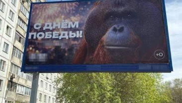 У зоопарку Новосибірська повісили банер з орангутаном до Дня перемоги