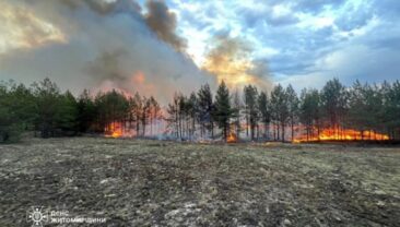 Пожежі в Україні: ситуація у Чорнобильській зоні та сусідніх областях