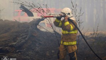 Локалізація пожежі на Чернігівщині: площа вогню – 350 га