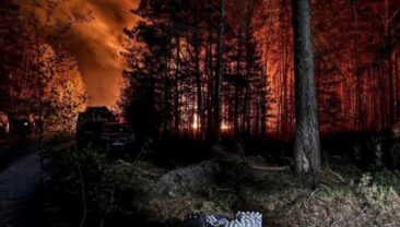 Масштабний лісовий пожежа в зоні відчуження: охоплено 1200 гектарів