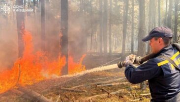 В Україні через пожежі в екосистемах знищено майже 2250 гектарів землі