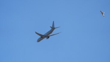 США збільшують розвідкові польоти біля Куби на фоні політичної напруги
