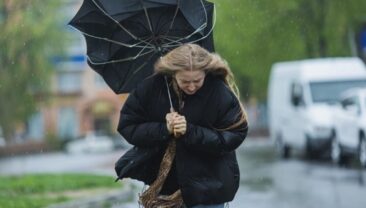 Прогноз погоди на Закарпатті та в Карпатах: сильні дощі і грози