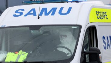 Французькі власті змінюють підходи до тестування на хантавирус
