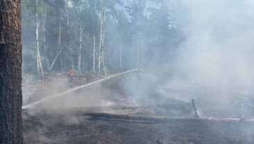 Нові пожежі в Чернобилі через російські обстріли