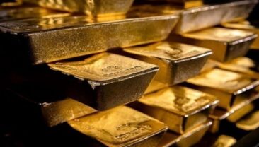 Арест високопосадовця ЦРУ: знайдено 303 золотих слитки та 2 мільйони доларів