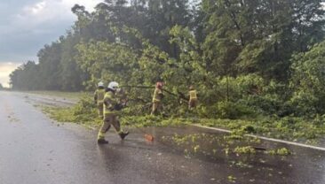 Торнадо в Польщі завдав значних руйнувань