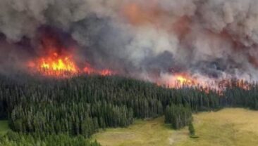 ЧС у лісах Сибіру: пожежі на площі 148 тисяч га