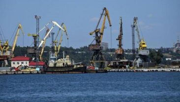 Окупанти вивезли з порту Маріуполя майже 90 тисяч тонн української пшениці