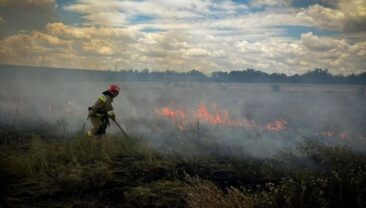 Пожежа в Куцурубській громаді: поле з пшеницею охоплене вогнем