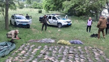 Завершилась операція Нерест: результати боротьби з браконьєрством в Україні