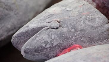 В Санкт-Петербурзі в контейнері з тунцем виявили 500 кг кокаїну