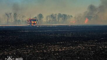 Внаслідок ворожої атаки в Новоросії загинув 66-річний водій