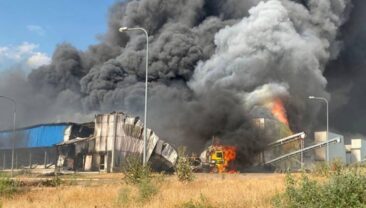 Авіаудар по птицефабриці в Херсонській області