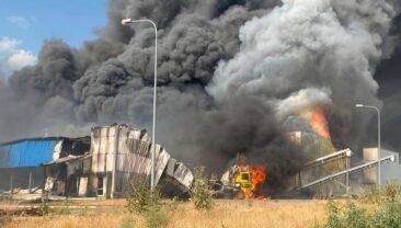На Херсонщині зруйнована птахофабрика внаслідок обстрілів агресорів