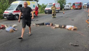 Трагічна аварія в Миколаївській області: загинуло 12 людей