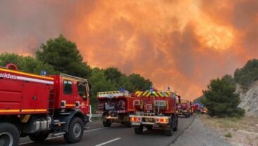 Масштабні лісові пожежі на півдні Франції: близько 930 гектарів знищено
